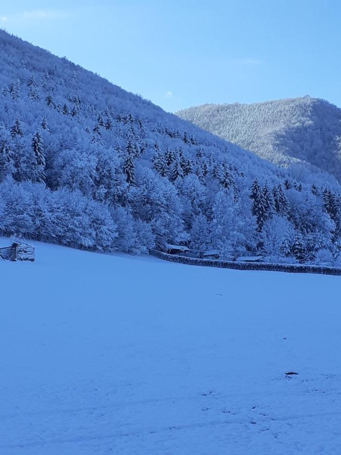 Pensiunea Natura Sadu سيبيو المظهر الخارجي الصورة
