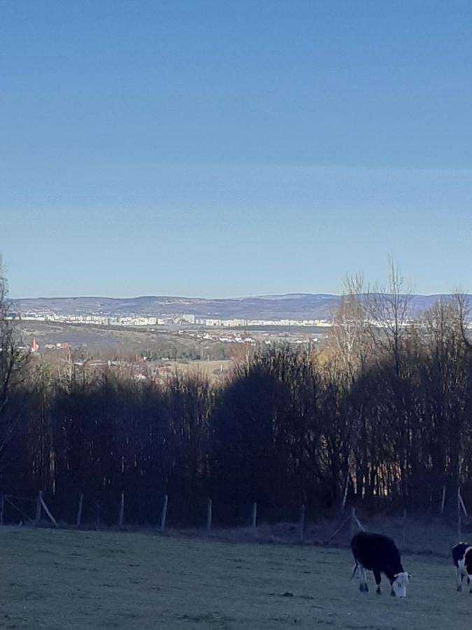 Pensiunea Natura Sadu سيبيو المظهر الخارجي الصورة