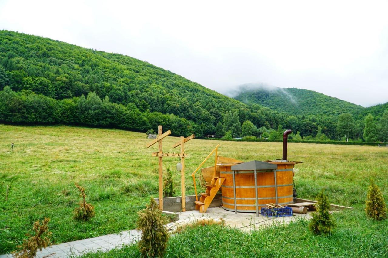Pensiunea Natura Sadu سيبيو المظهر الخارجي الصورة